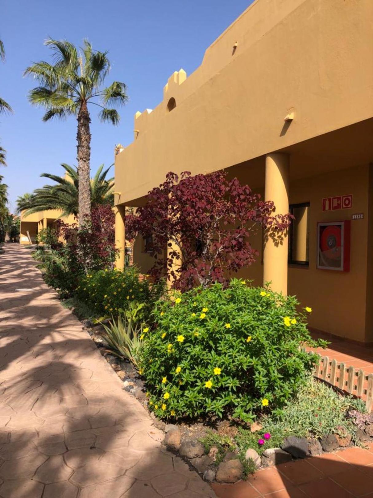 Ferienwohnung Casa Alice Corralejo Exterior foto